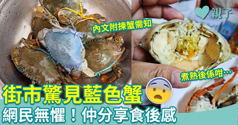 網上熱話︳街市驚見藍色蟹！你有冇膽量食？內文另附揀蟹需知
