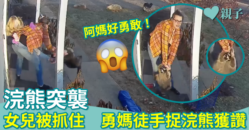 網上熱話｜野生浣熊攻擊女兒！勇媽徒手對付浣熊獲激讚
