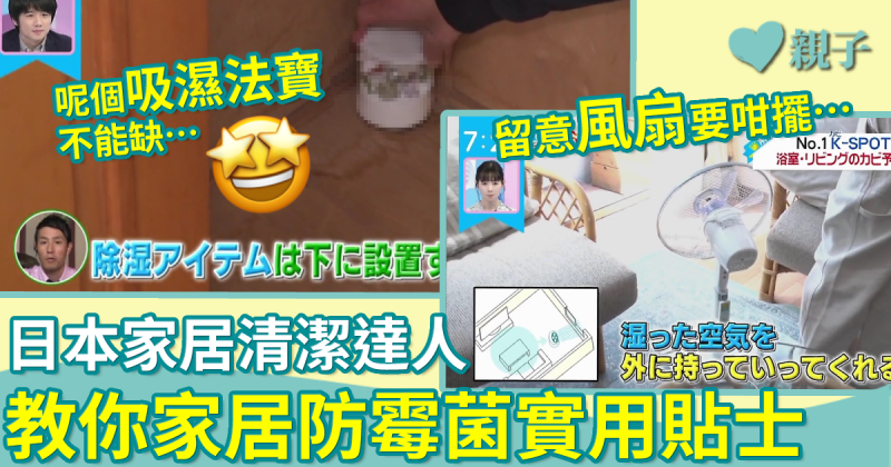防潮濕｜日本專家教家居防霉菌小貼士　風扇擺位有技巧　這件吸濕法寶不能缺 ！