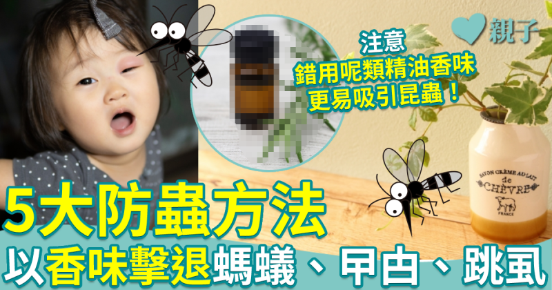 防蟲貼士︱5大防蟲方法　以香味擊退螞蟻、曱甴、跳虱！