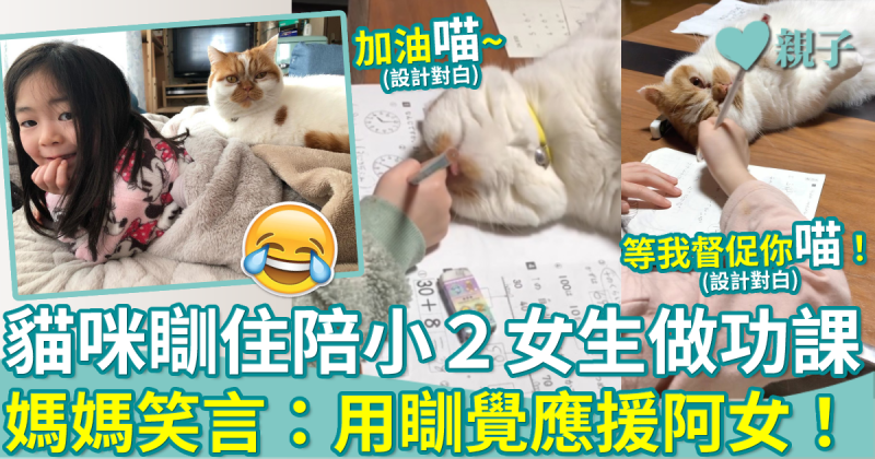 功課應援︳貓咪瞓住陪阿女做功課　網民：好可愛好治癒