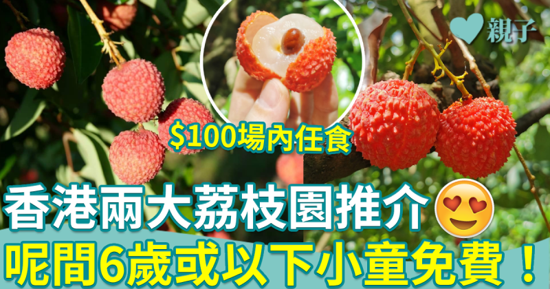 荔枝園2023︱香港兩大荔枝園推介　$100場內任食　呢間6歲或以下小童免費！