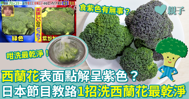蔬菜冷知識︳西蘭花表面為何呈紫色？附日本人清洗秘訣