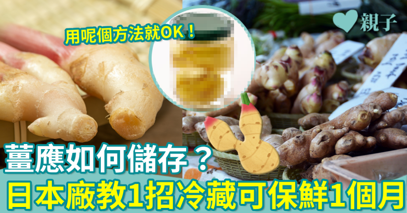 蔬菜保存︳薑應如何儲存？日本大廠教1招冷藏時可保鮮1個月