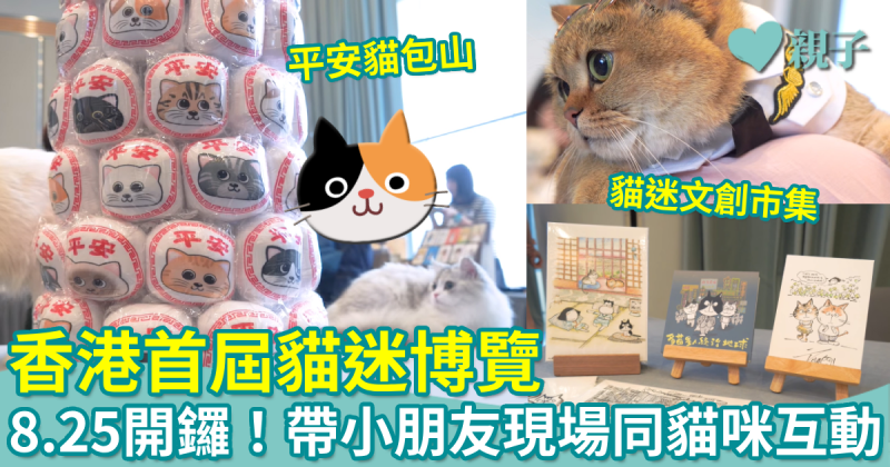 親子好去處︳香港首屆貓迷博覽　帶小朋友現場同貓貓互動