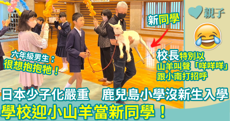 日本「少子化」沖撃　鹿兒島小學沒新生入學　學校迎小山羊當新同學！