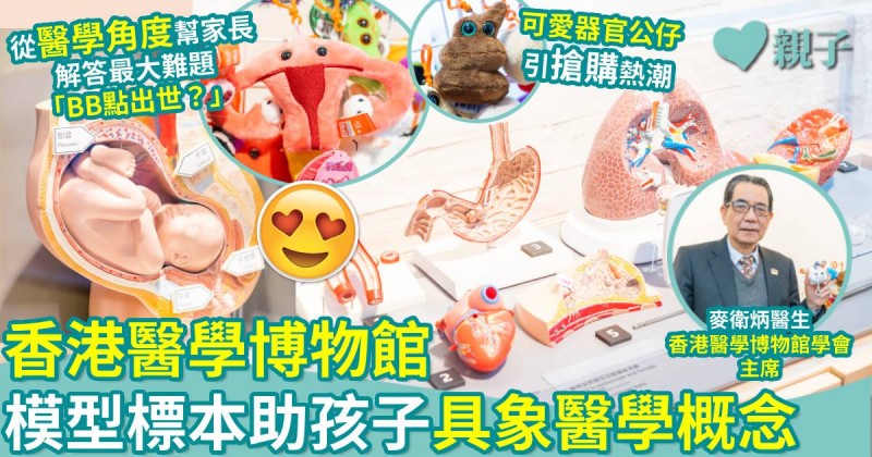親子好去處｜香港醫學博物館　模型標本助孩子具象醫學概念