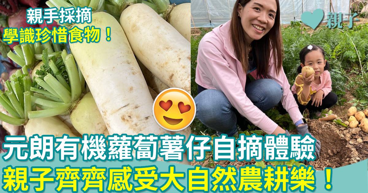親子好去處|元朗農圃有機蘿蔔薯仔自摘體驗 齊齊感受農耕樂