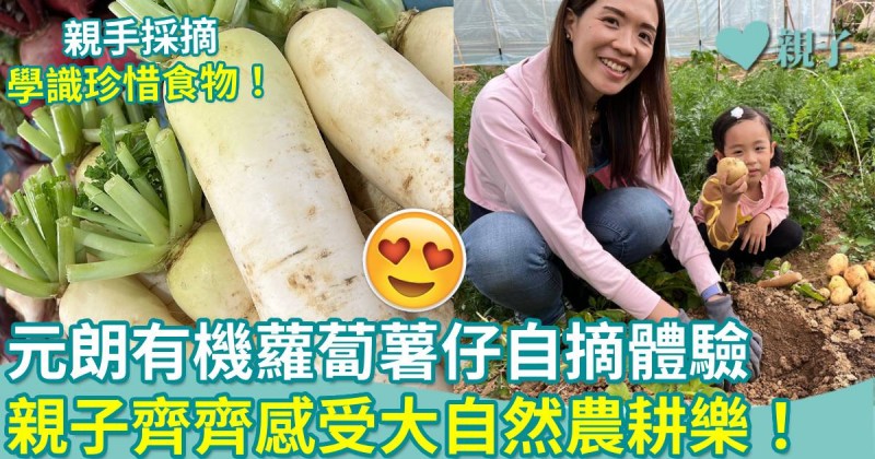 親子好去處｜元朗農圃有機蘿蔔薯仔自摘體驗　齊齊感受農耕樂