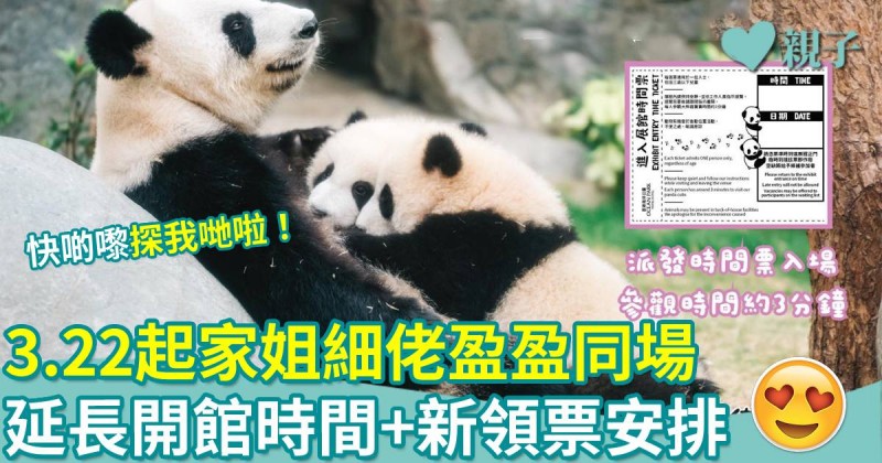 港產熊貓｜3.22起家姐細佬盈盈3熊同場！延長開館時間+新領票安排