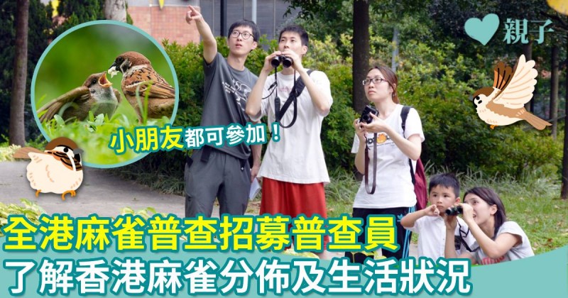 生態保育｜2025全港麻雀普查招募普查員　了解香港麻雀分佈及生活狀況