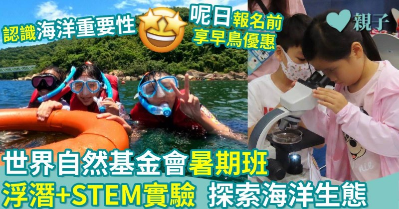 暑假好去處｜世界自然基金會暑期班　浮潛+STEM實驗探索海洋生態