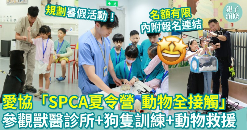 暑假活動｜愛協「SPCA夏令營-動物全接觸」　 參觀獸醫診所+狗隻訓練+動物救援