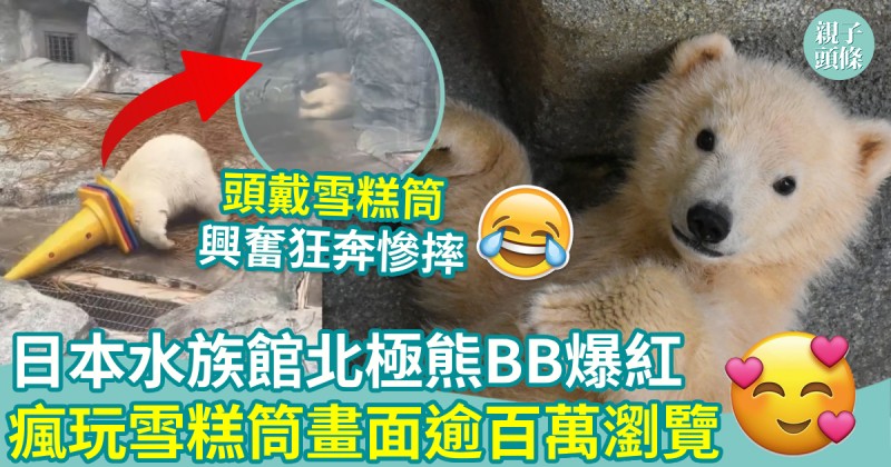 親子趣聞｜日本水族館北極熊BB爆紅　瘋玩雪糕筒畫面逾百萬瀏覽