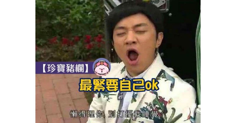 【珍寶豬欄】最緊要自己ok