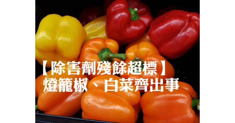 【除害劑殘餘超標】燈籠椒、白菜齊出事