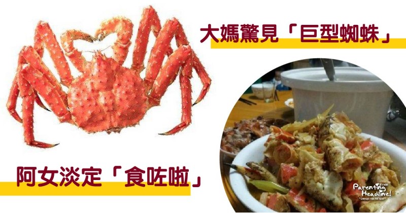 【大媽驚見「巨型蜘蛛」】阿女淡定「食咗啦」