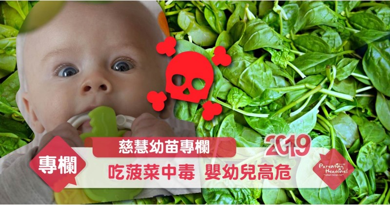 【慈慧幼苗專欄】吃菠菜中毒 嬰幼兒高危