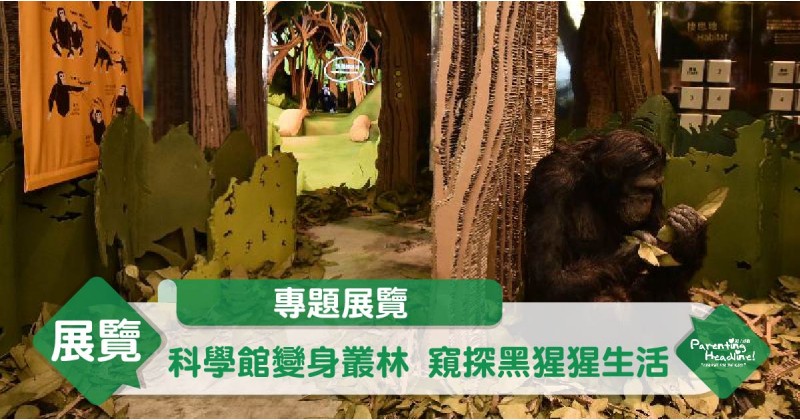 【專題展覽】科學館變身叢林 窺探黑猩猩生活