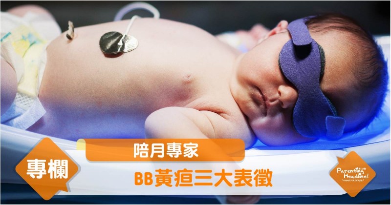 【陪月專家】BB黃疸三大表徵