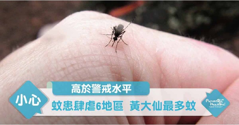 【高於警戒水平】蚊患肆虐6地區 黃大仙最多蚊