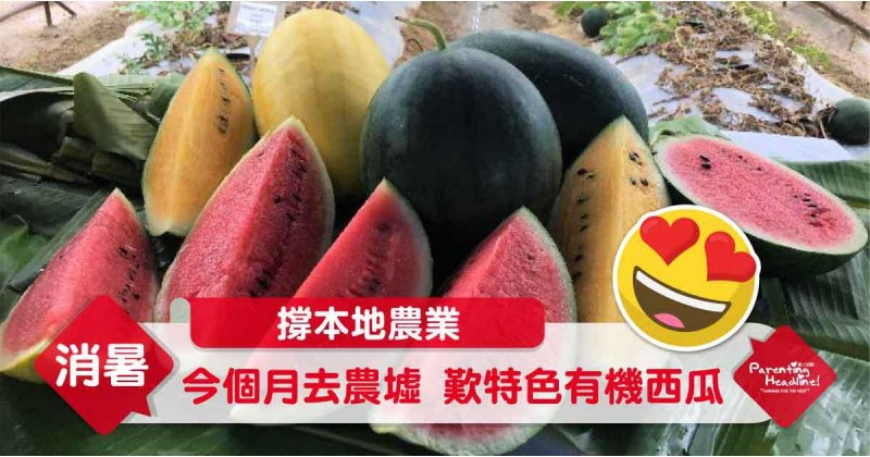 【撐本地農業】今個月去農墟 歎特色有機西瓜