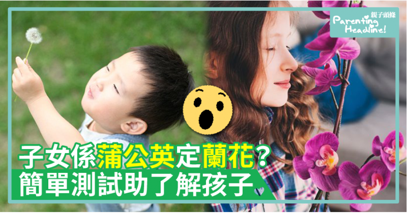 【溫室小花】子女係蒲公英定蘭花？簡單測試助了解孩子