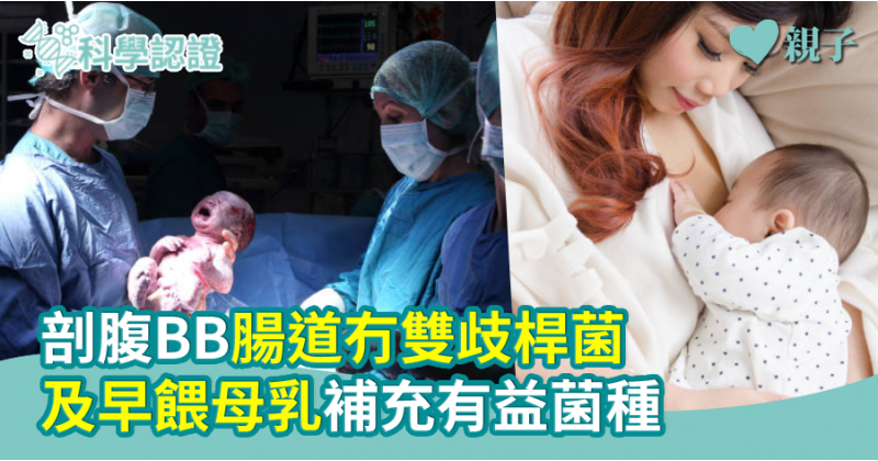 【理大研究】剖腹BB腸道冇雙歧桿菌  及早餵母乳補充有益菌種