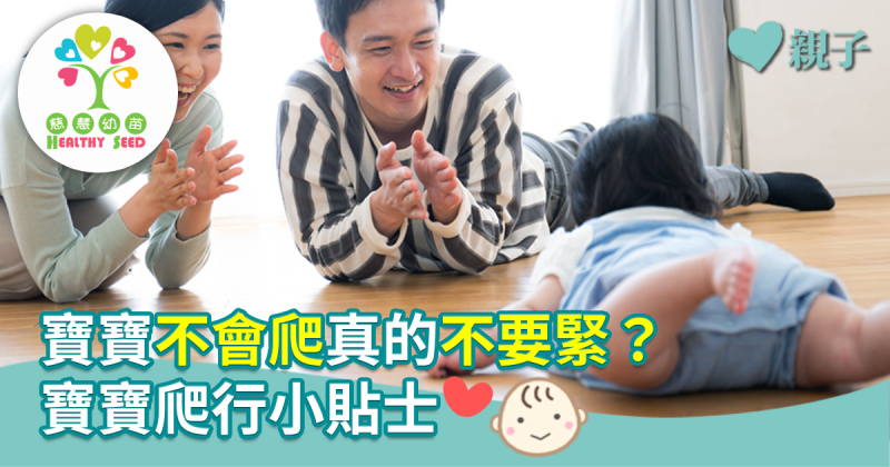 【慈慧幼苗】 寶寶不會爬真的不要緊？寶寶爬行小貼士