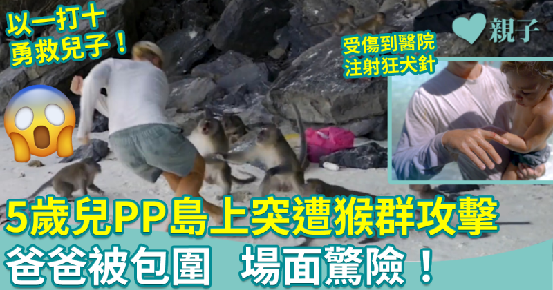 遇襲｜澳洲男網紅5歲兒泰國PP島突遭猴群攻擊　爸爸勇救兒子受傷
