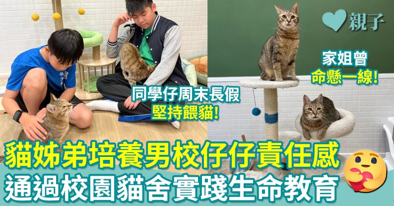 校園貓舍︳融化男校仔仔！殘障貓姊弟培養同學責任感　實踐生命教育