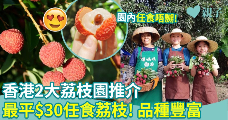 荔枝園2025︱香港兩大荔枝園推介　最平$30任食荔枝！品種豐富