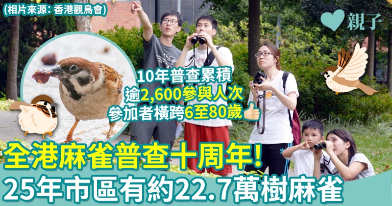 生態保育｜全港麻雀普查10周年　推算25年香港市區有約22.7萬隻樹麻雀