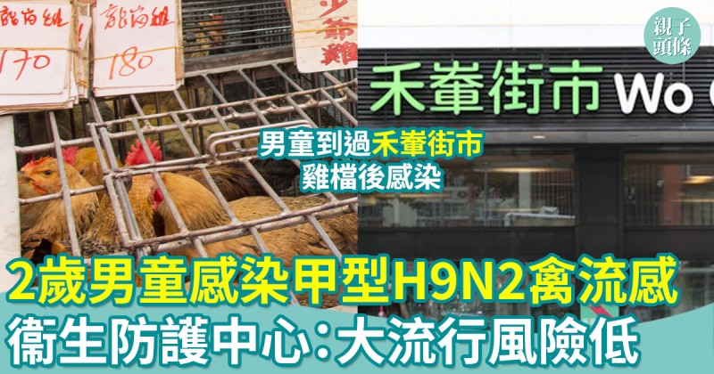 禽流感｜2歲男童到禾輋街市活雞檔後染甲型H9N2禽流感　衞生防護中心：家長應避免帶年幼子女到活雞檔