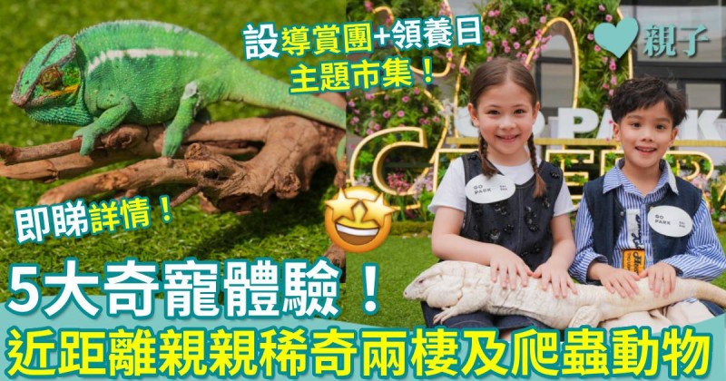 親子好去處|5大奇寵體驗!近距離親親稀奇兩棲及爬蟲動物+異寵主題市集