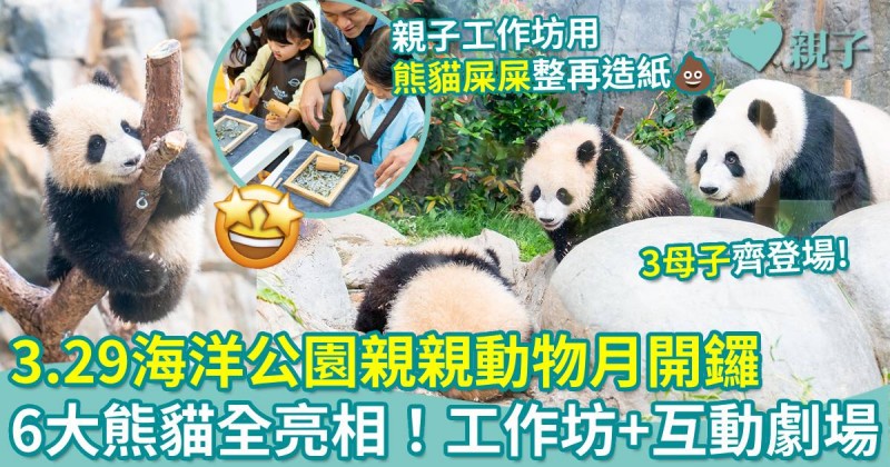 港產熊貓|3.29海洋公園親親動物月開鑼 6大熊貓全亮相!工作坊+互動劇場